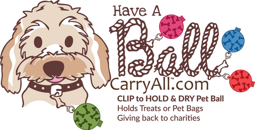 Have A Ball CarryAll