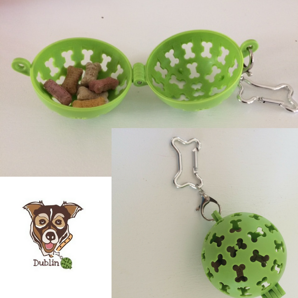 Have A Ball Carryall™Green-Dublin Brings Awareness to Dog Health